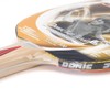DONIC Top Team 300 Table Tennis Bat