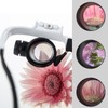 Loupe Magnifier Glasses Head Mount with LED Light Adjustable Glasses