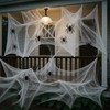Stretchable Spider Web Halloween Decorations with Fake Spiders – Spooky