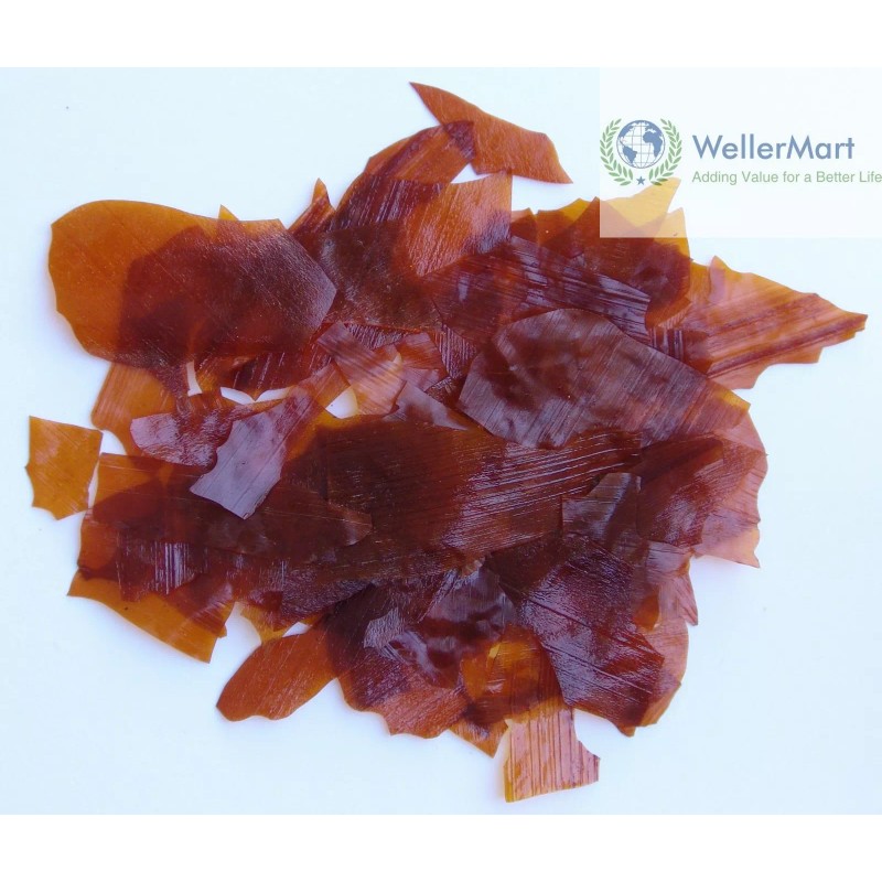 WellerMart ORANGE FLAKE SHELLAC 2 Oz JEWELRY ADHESIVE SETTERS CEMENT