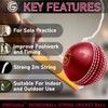 ONEGlobal Incrediball Soft String Cricket Ball | Outdoor and Indoor