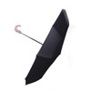 Folding Umbrella 10 Bone UV Protection Auto Open Auto Close