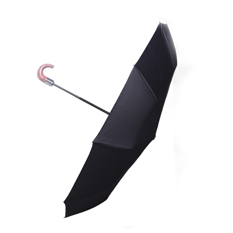 Folding Umbrella 10 Bone UV Protection Auto Open Auto Close