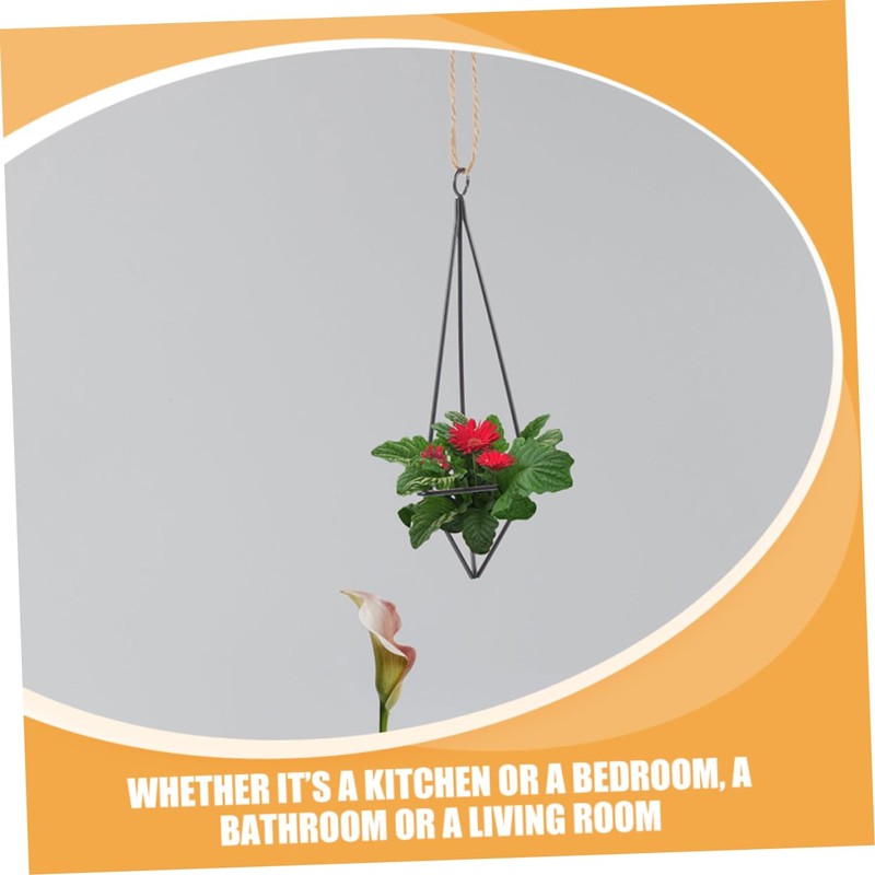 CAXUSD 2Pcs Iron Air Plant Holders Hanging Plant Shelves for