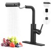 Kitchen Faucet with Pull Down Sprayer: ALEASHA Waterfall Kitchen Faucet