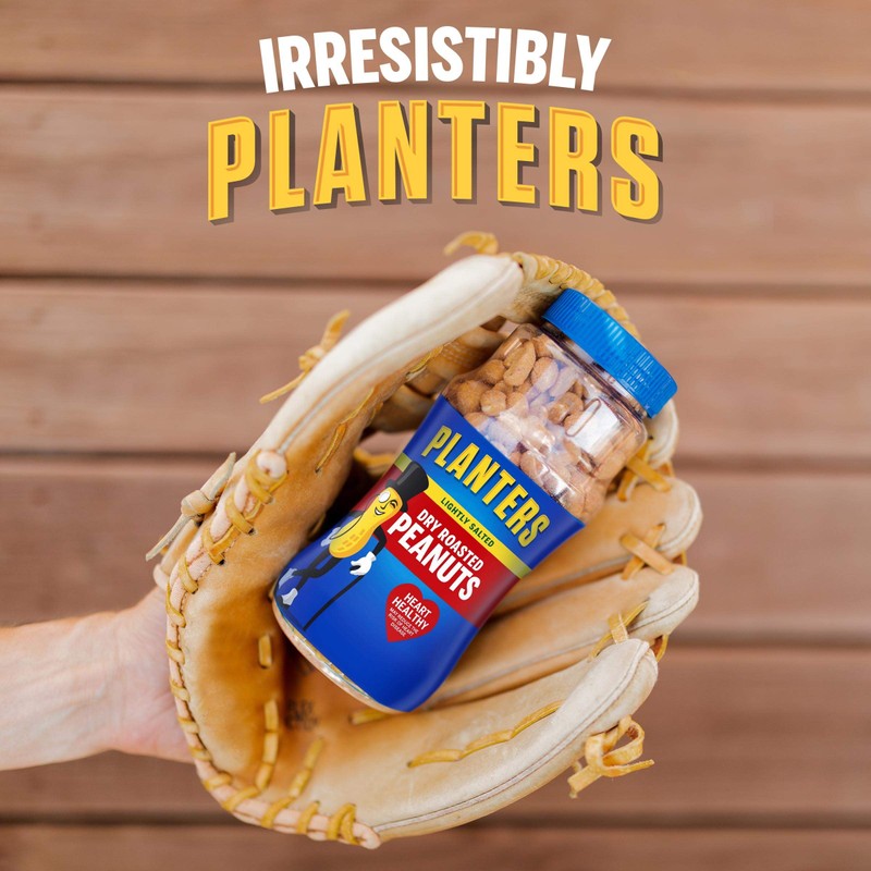 PLANTERS Peanuts, Dry Roasted Peanuts, Lightly Salted Snack Mix, Snacks