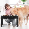 Lapensa Elevated Dog Bowls, Stainless Steel Raised Dog Deep Bowl