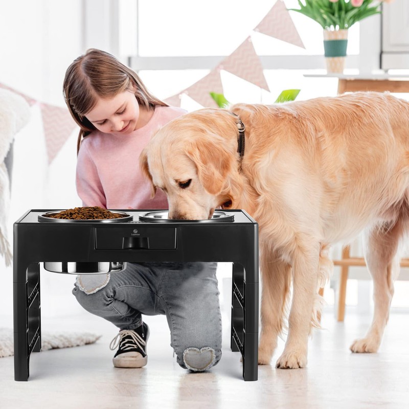Lapensa Elevated Dog Bowls, Stainless Steel Raised Dog Deep Bowl