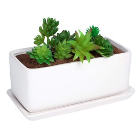 Liry Products 10 inch Rectangular White Ceramic Planter Pot Succulent Cactus Herb Flower Container Window Box Saucer Removable Drip Tray Base Drain Holes Home Office Indoor Outdoor Garden Desktop