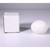 Magic Reversible Egg & Silk Scarf Transformation Set - Realistic