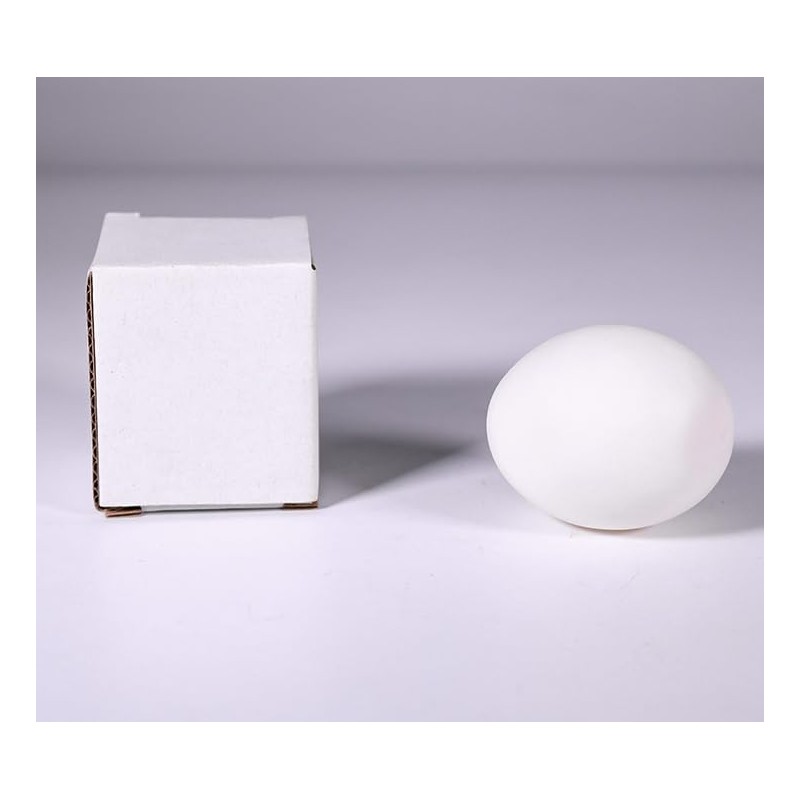 Magic Reversible Egg & Silk Scarf Transformation Set - Realistic