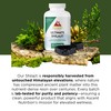 Ascent Nutrition Ultimate Shilajit | Natural Source of Fulvic &