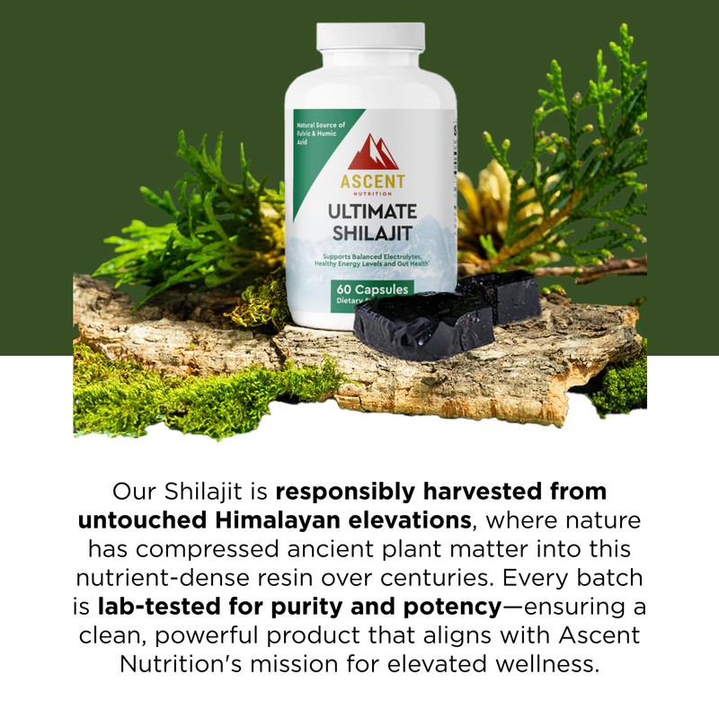 Ascent Nutrition Ultimate Shilajit | Natural Source of Fulvic &
