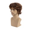 Wigs for Men, Short Curls, Brown Wigs, Synthetic Clothing, Replacement