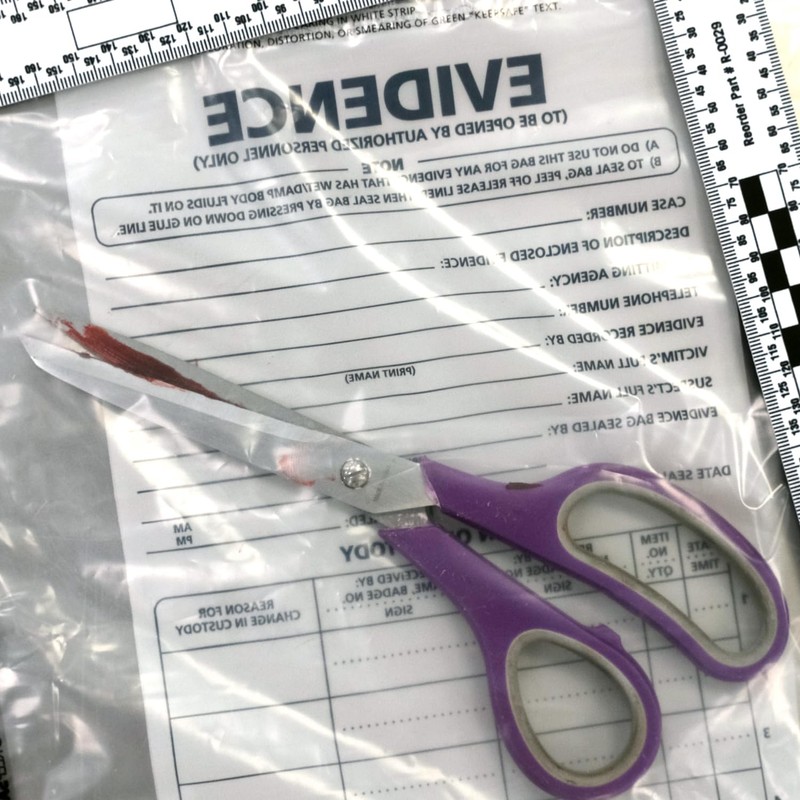 Small Plastic Evidence Bag, 6 x 10 inches, 100pk