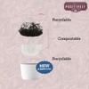 Organic Positively Botanicals Company, Chicory Root, K-Cup Compatible, 24 Pods