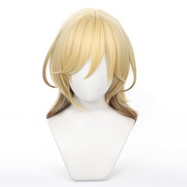 Cosplay Wig, Harajin Genshin Wig, Heat Resistant Wig, School Festival, Cultural Festival, Costume, Disguise, Wig Net Included, Cosplay Accessory Cosplay Wig