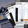Satco S11527 LED Bulb, 6W (40W Eq), ST19 Vintage Style,