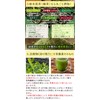 Honjien Premium Whole Tea Leaf Tea, Japanese Tea Produced in