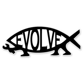 AK Wall Art Evolve Fish Evolution Darwin Vinyl Sticker - Car Window Bumper Laptop - Select Size