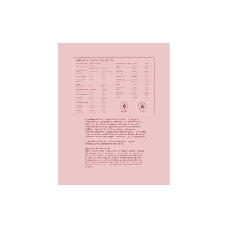 Suplemento Prenatal Multivitamínico 90 Capsulas 900gm Colina
