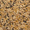 MEZCLA DE SEMILLAS P/LORITOS Y NINFAS 500 G