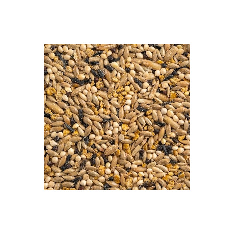 MEZCLA DE SEMILLAS P/LORITOS Y NINFAS 500 G