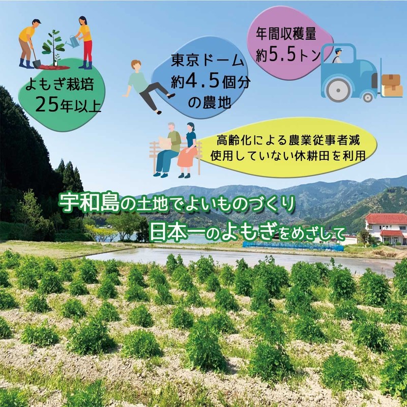 Wormwood Hot Water Bath Pack, Made in Ehime Prefecture, 100%