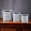 Cheung's FP-4000-3 Set of 3 Metal Bucket with Handle, Silver,