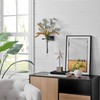 Danya B Decorative Wall Mount Amphora Glass Flower Vase on