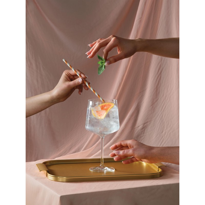 Schott Zwiesel Passionata Gin & Tonic x2