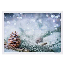 Pinecone Frost Winter Paper Placemats - 10in. X 14in. (50)