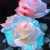 200 Pcs Ice Rain Blue Strong Aroma Rose Seeds Potted