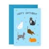 Cute Birthday Card Cats on Hats – Gifts for Cat
