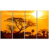 Designart Orange Glow of African Sunset-Extra Large Wall Art Landscape-48x28