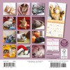 Carousel Calendars, Naptime 2025 Mini Wall Calendar