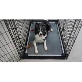 FXW Titanest Padded Dog Bed for Crate, Chew-Proof Elevated Cot for Indoor/Outdoor/Camping Use, Durable & Washable Pet Bed for Large Dogs, 50-Inch, Grey