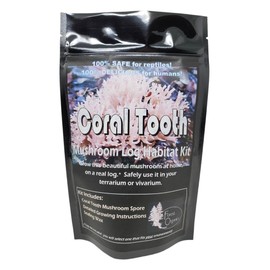 Coral Tooth Mushroom Growing Habitat Log Kit - 100% Organic, Safe for Rapltiels & Humans - Easy to Grow
