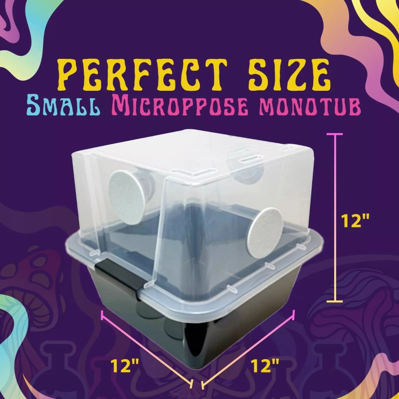 Spore Sorcery Small Beginners Mushroom Grow Kit | Indoor Grow