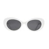 ZENOTTIC Polarized Sunglasses Women Oval: Trendy Shades for Ladies -