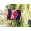 Arkansas Razorback Large Tailgating Flag