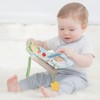 SKIPHOP Toy for Baby Stroller, turi-toppuhurenzu・sohutobukku/Pastel Gray tysh307517 