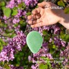 Sinutan® Konjac Sponge | 100% Natural (Set of 3) Bamboo