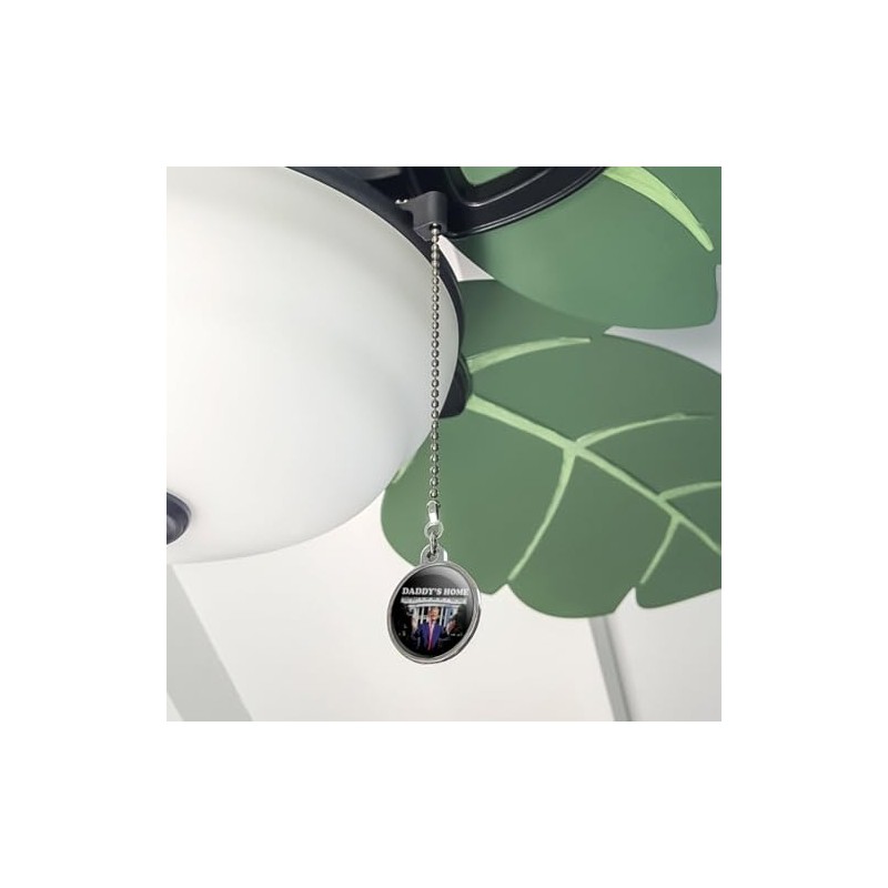 Trump's White House Ceiling Fan and Light Pull Chain