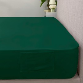 Ambesonne Fitted Sheet with Side Pocket Pack of 2, Modern Solid Color Bedroom Accent Comfortable Bed Cover with All-Round Elastic Deep Pocket and Side Storage, Queen Size, Emerald