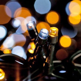 WISD Light Chain Two Colours Lighting for Indoor and Outdoor Use with EU Plug from 31V Transformer to Dark Green Cable for Christmas Garden Home Wedding Decoration