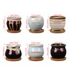 BBTO 6 Set Mini Succulent Pots Bulk with Drainage and
