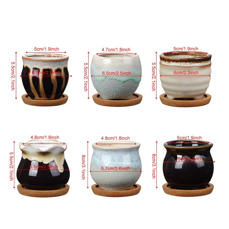 BBTO 6 Set Mini Succulent Pots Bulk with Drainage and