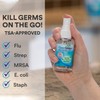CleanSmart To Go Disinfectant Kills 99.9% of Viruses, TSA-Approved for