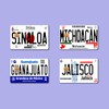 Card Skin - Mexico Placas (Mexican License Plate) Card Stickers